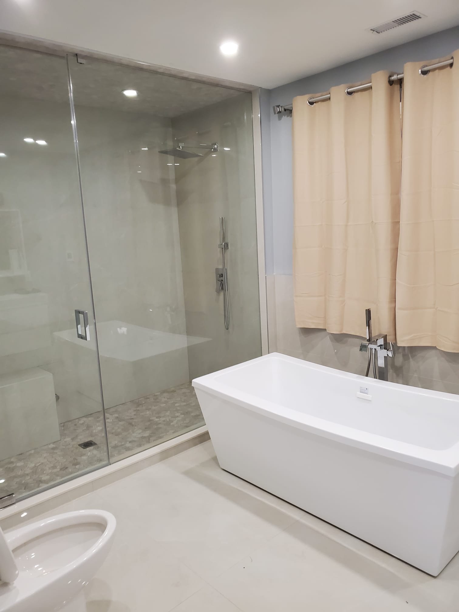Frameless glass shower beside freestanding soaker tub